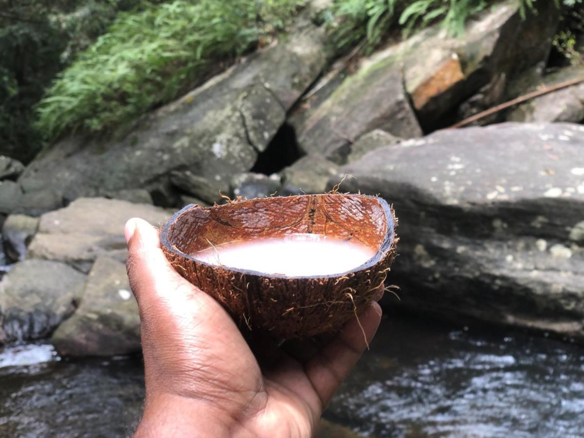 Palabaddala Tea And Eco Lodge Ratnapura Luaran gambar