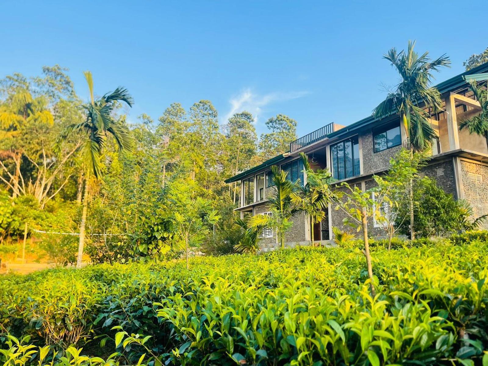 Palabaddala Tea And Eco Lodge Ratnapura Luaran gambar