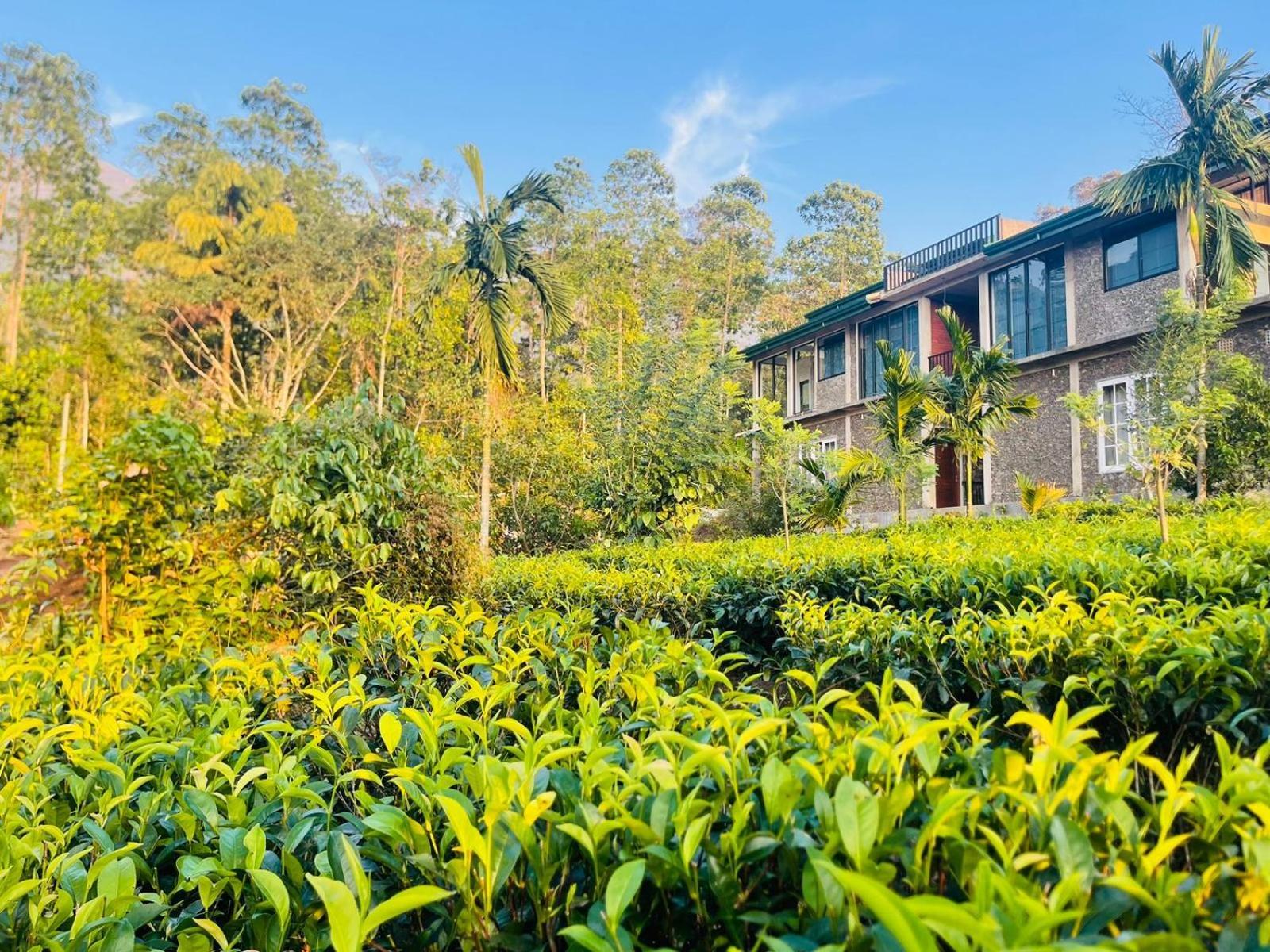 Palabaddala Tea And Eco Lodge Ratnapura Luaran gambar