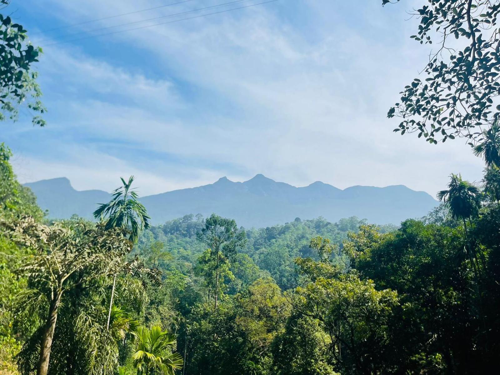Palabaddala Tea And Eco Lodge Ratnapura Luaran gambar